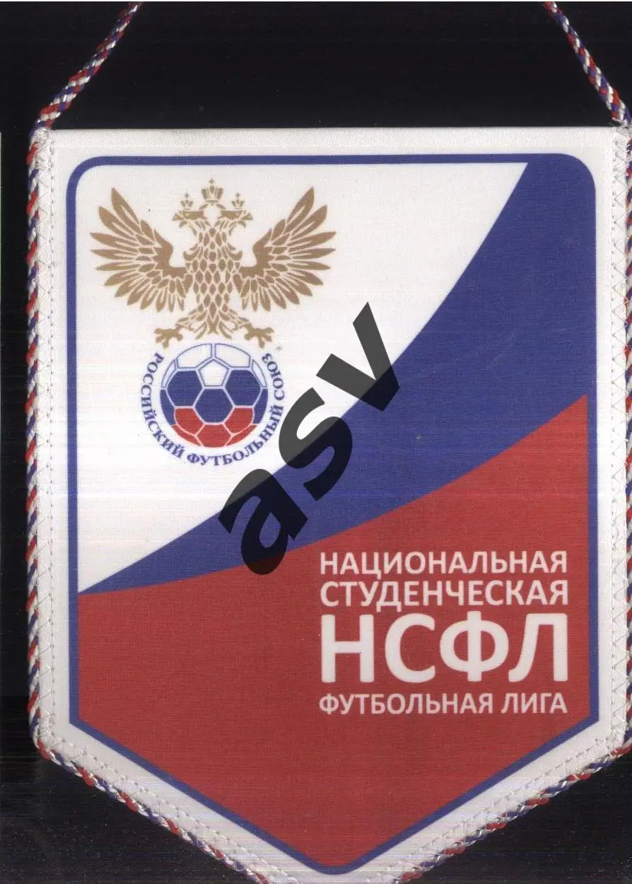 НСФЛ / Национальная студенческая футбольная лига