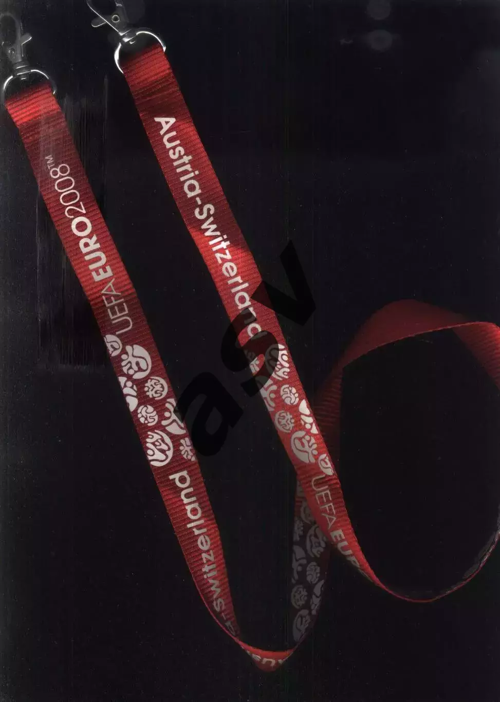 2008 Чемпионат Европы по футболу Шнурок для аккредитации