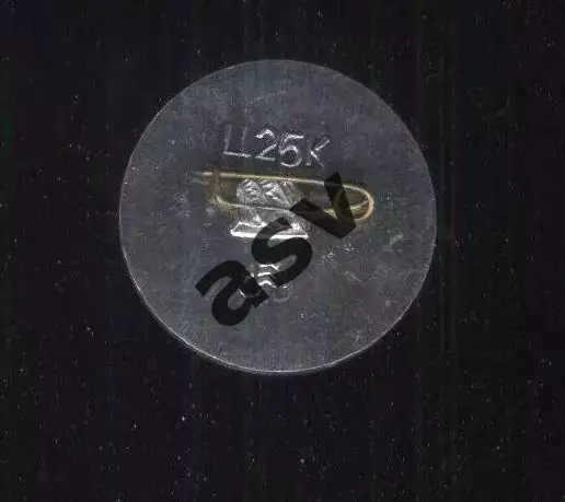 Олег Блохин / Динамо Киев / 300 голов 1