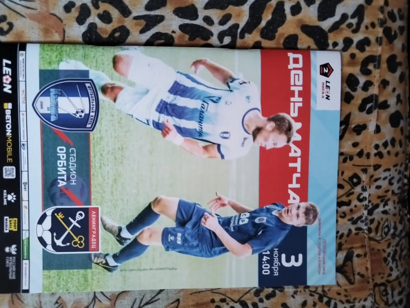 Калуга (Калуга) - Ленинградец (Лен.обл.) 03.11.24. 2 лига