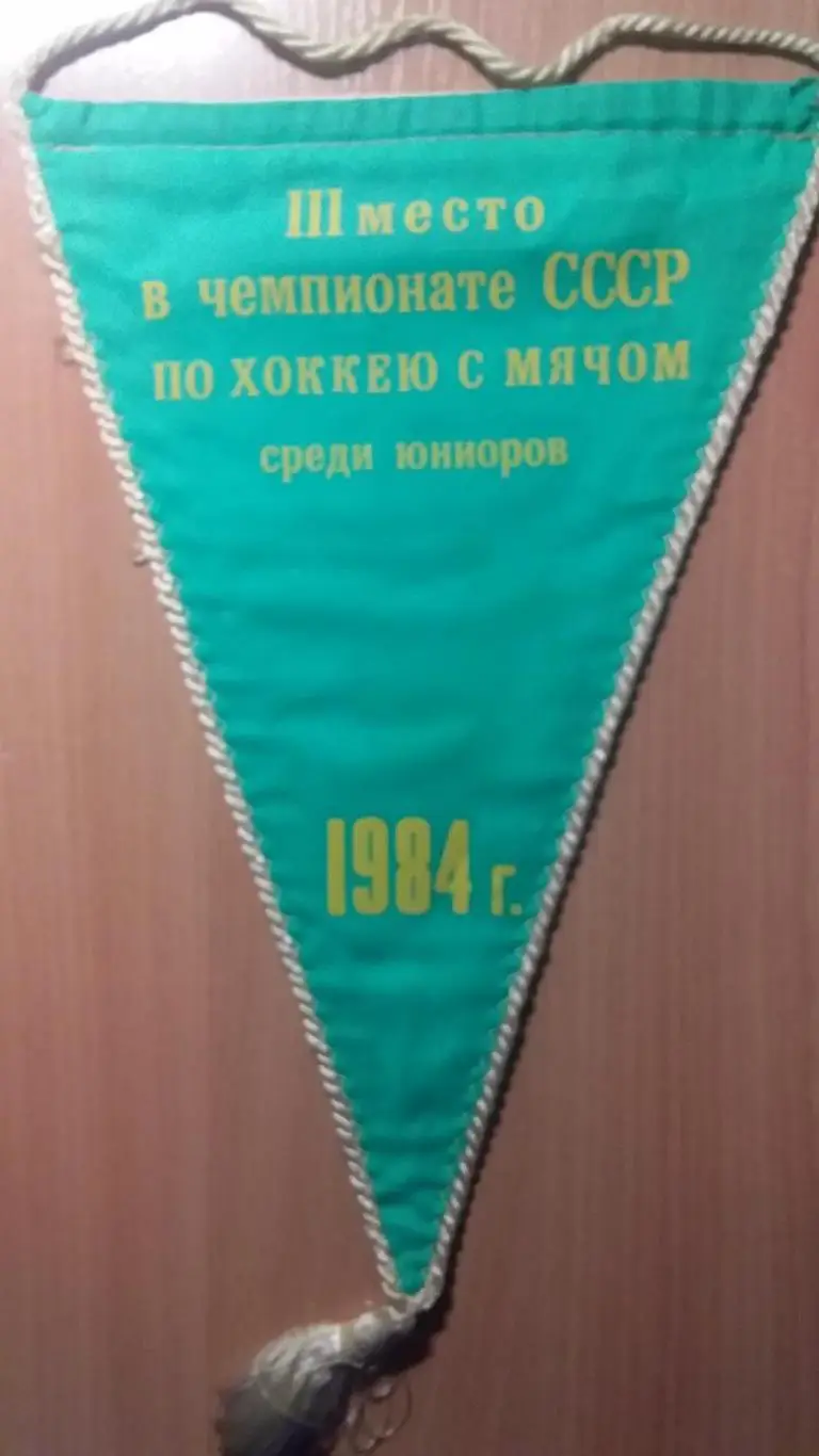 Вымпел хоккей с мячом 1984 год 1