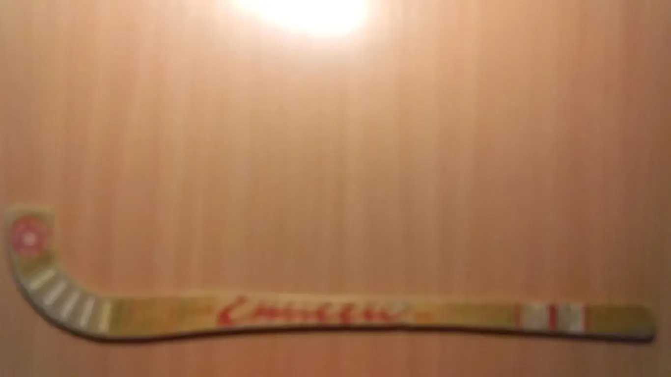 Клюшка с автографами Енисей Красноярск чемпион 1983 г.