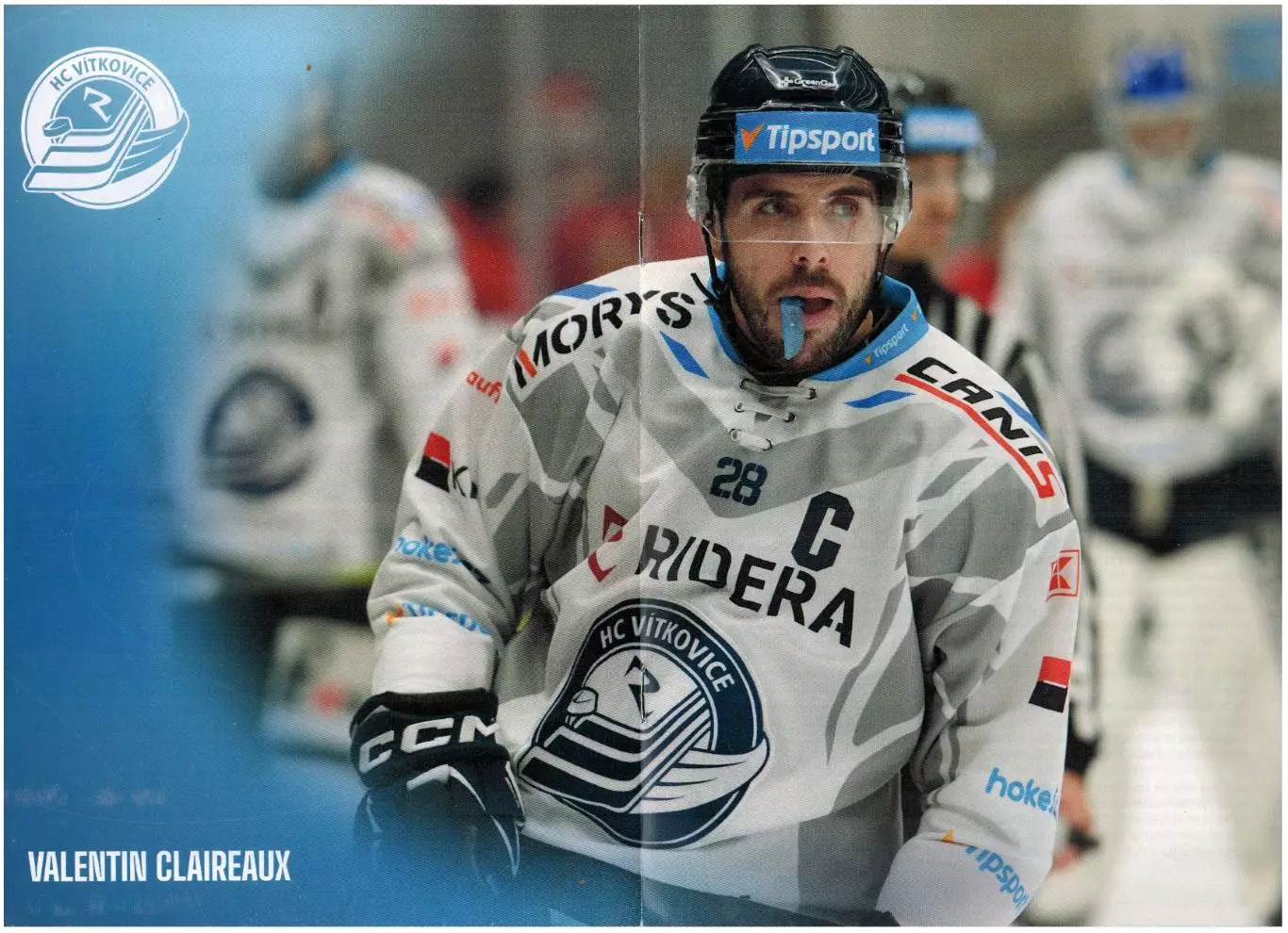 Витковице Ридера Острава – БК Млада Болеслав + Энерги Карловы Вары 13/15.11.2024 3