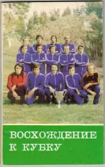 Восхождение к Кубку Тбилиси 1981 О победе тбилисского Динамо в Кубке кубков