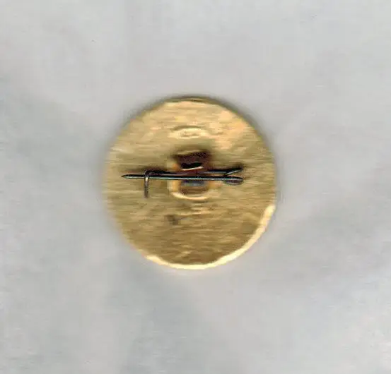 Хоккеисты СССР - чемпионы мира 1971 Швейцария (Значок из серии) 1