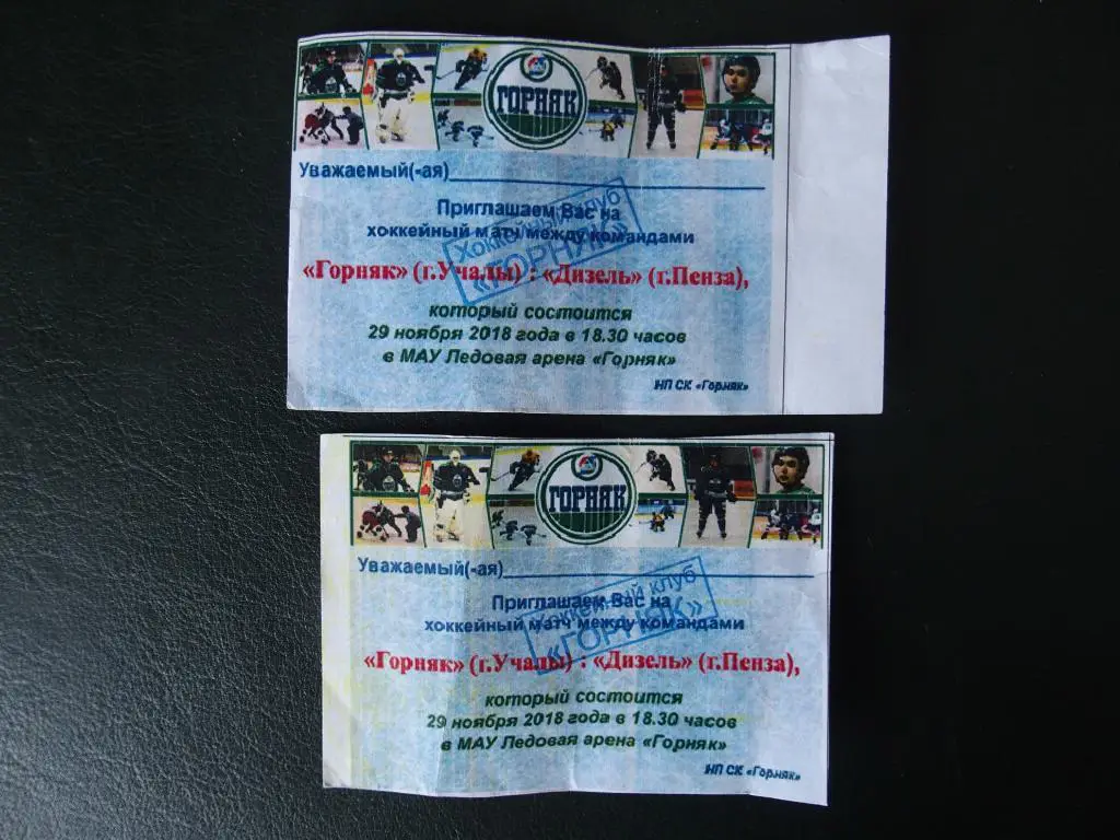 Горняк Учалы - Дизель Пенза 2018/2019. Нижний билет