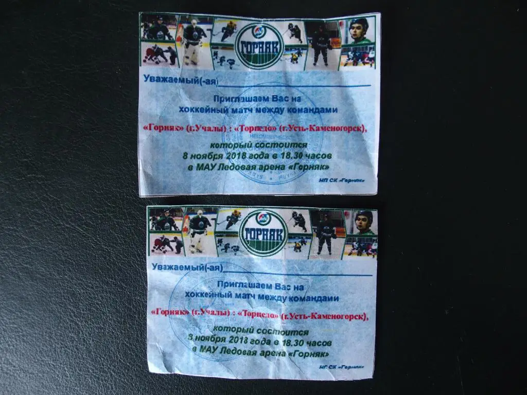Горняк Учалы - Торпедо Усть-Каменогорск 2018/2019. Верхний билет.
