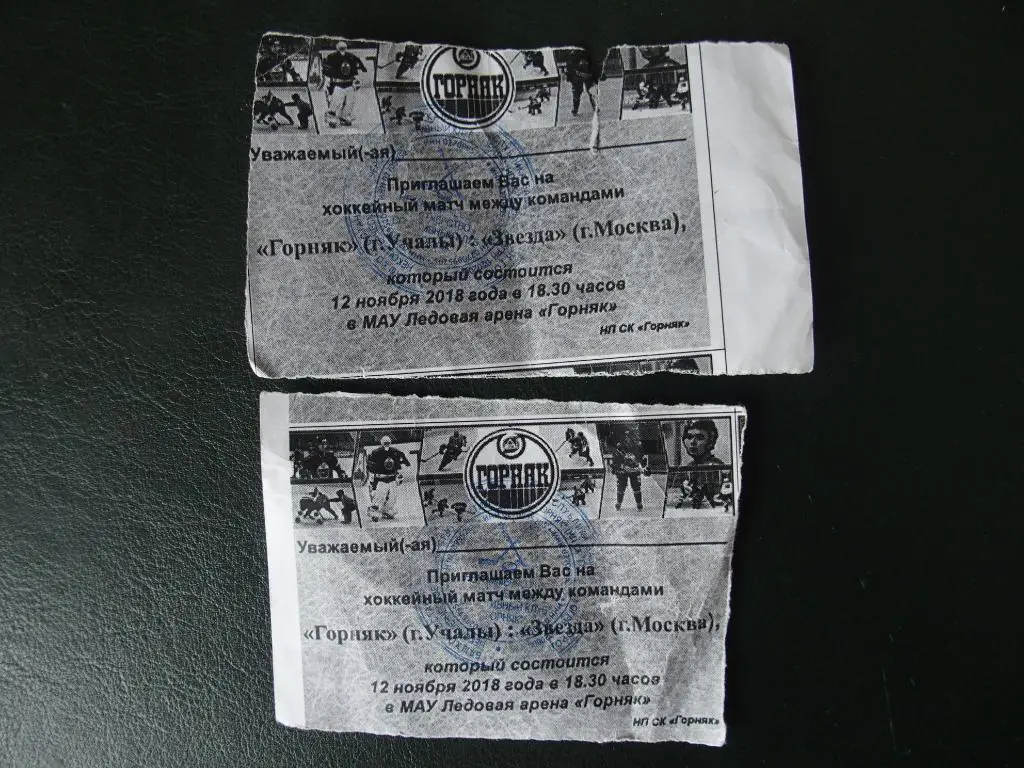 Горняк Учалы - Звезда Москва 2018/2019. Нижний билет.
