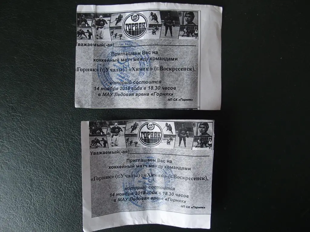 Горняк Учалы - ХК Химик Воскресенск 2018/2019. Нижний билет.