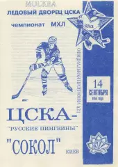 1994 Хоккей ЦСКА - Сокол Киев (14.09) Вид 2