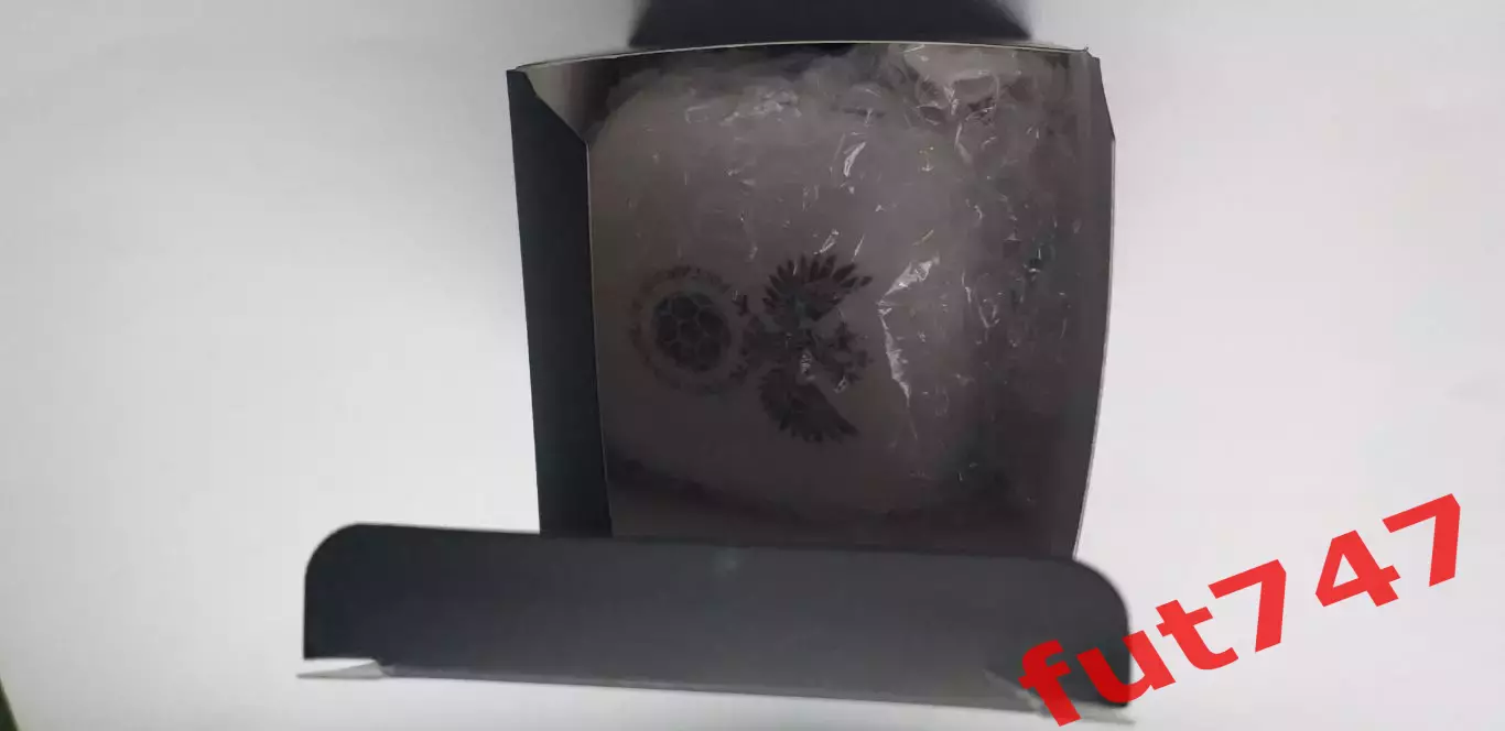 Беспроводная колонка с символикой РФС...... 1