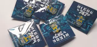 ФК Псков -747.....цена за пять штук