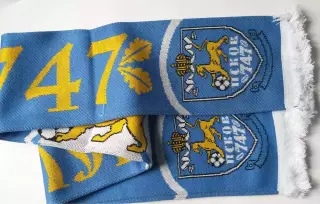 шарф ФК Псков -747 ....оригинал....цена за два шарфа......