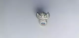 РФС Российский Футбольный Союз фрачник