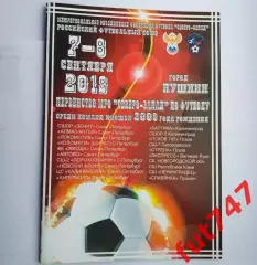 МРО Северо -Запад 2019 год......юноши 2008 года рождения г.Пушкин