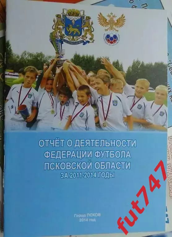 Отчет федерации за 2011-2014 год