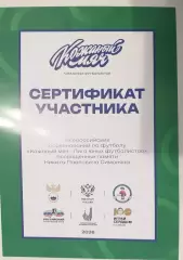 сертификат Кожаный мяч 2026 год