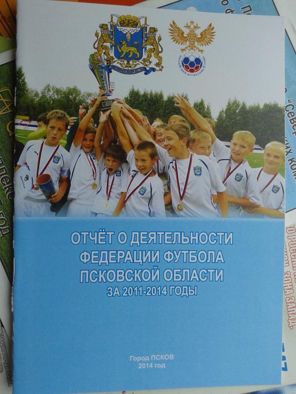 Отчет федерации за 2011-2014 год