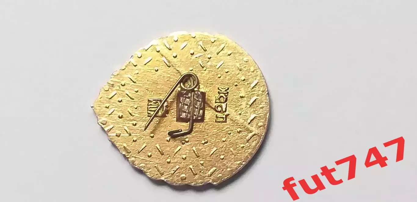 Динамо Киев обладатель суперкубка1975 год 1