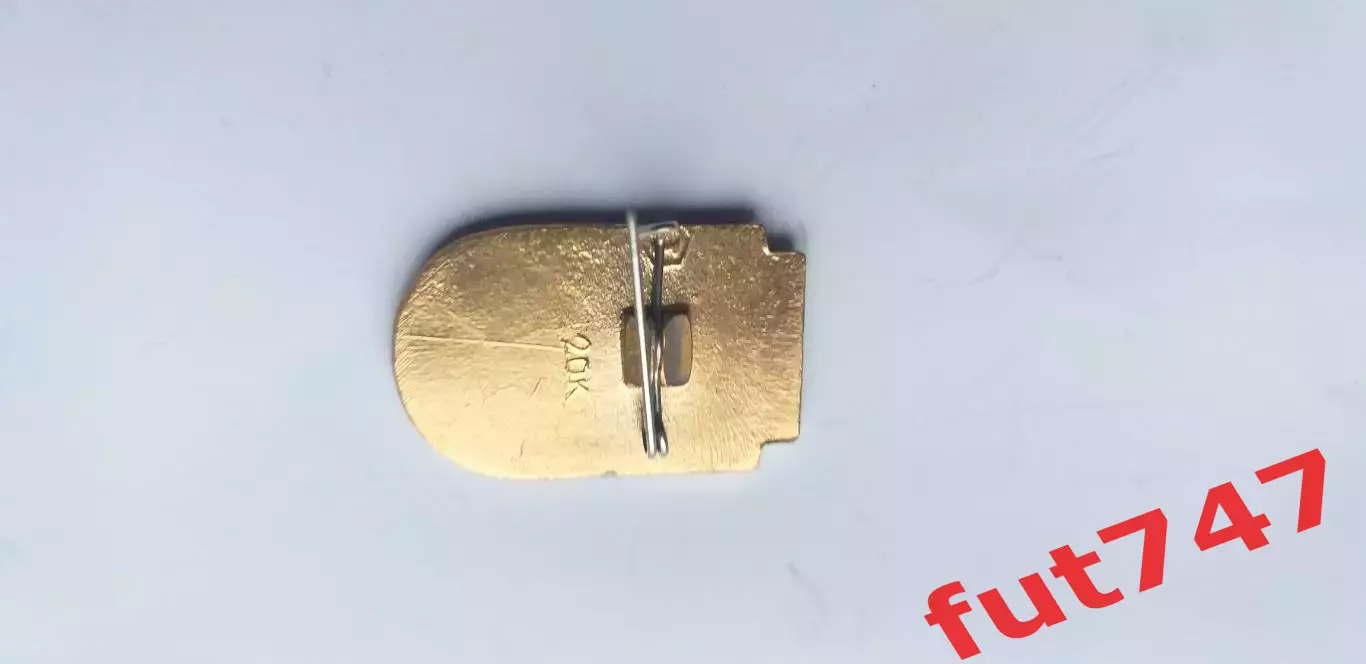 хоккейный клуб Динамо Москва 1