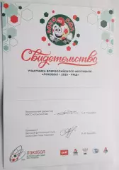 2025 год Локобол (свидетельство участника)
