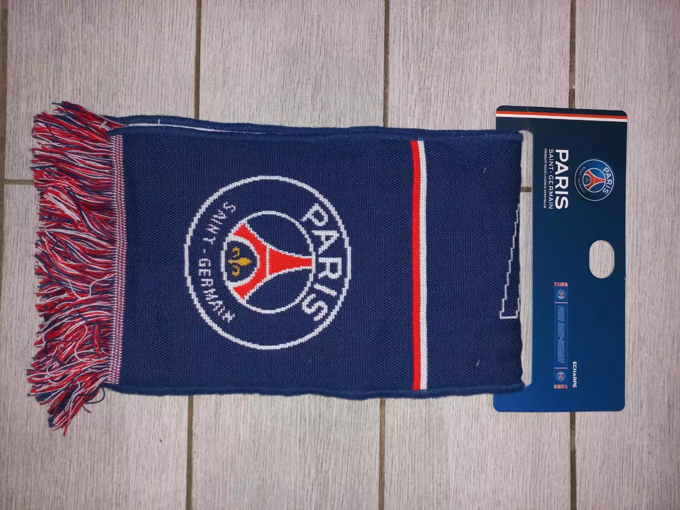 ФК ПСЖ (Франция)