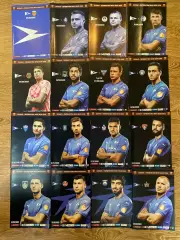 ФК Чайка - домашние матчи сез. 2020/21 и кубок