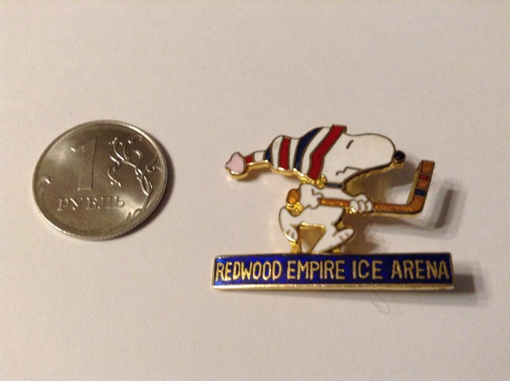 Redwood Empire ice arena - КАЛИФОРНИЯ США хоккей