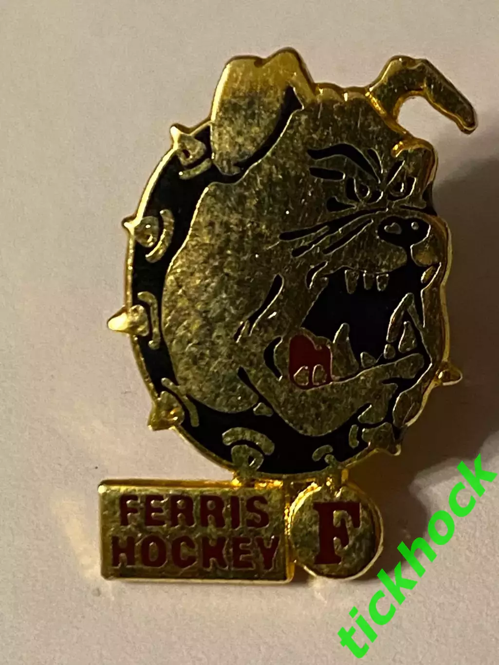 хоккейный клуб из США -- Ferris State Bulldogs men's ice hockey team -- CCHA 1