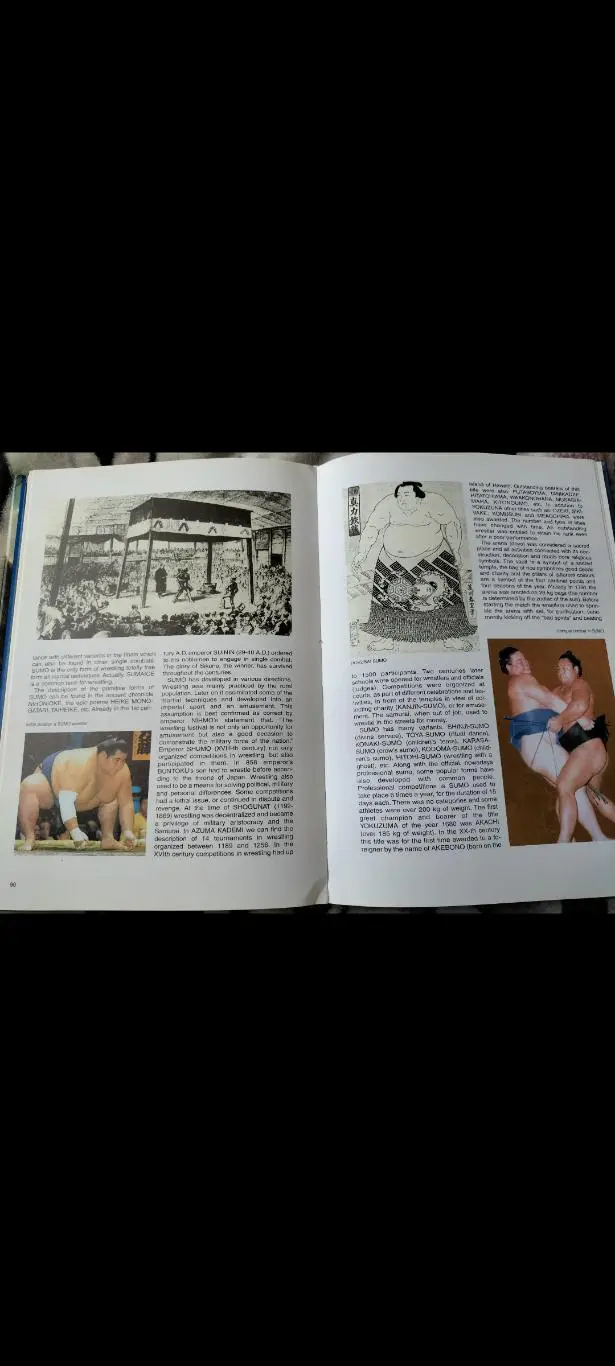 Традиционные стили борьбы 6