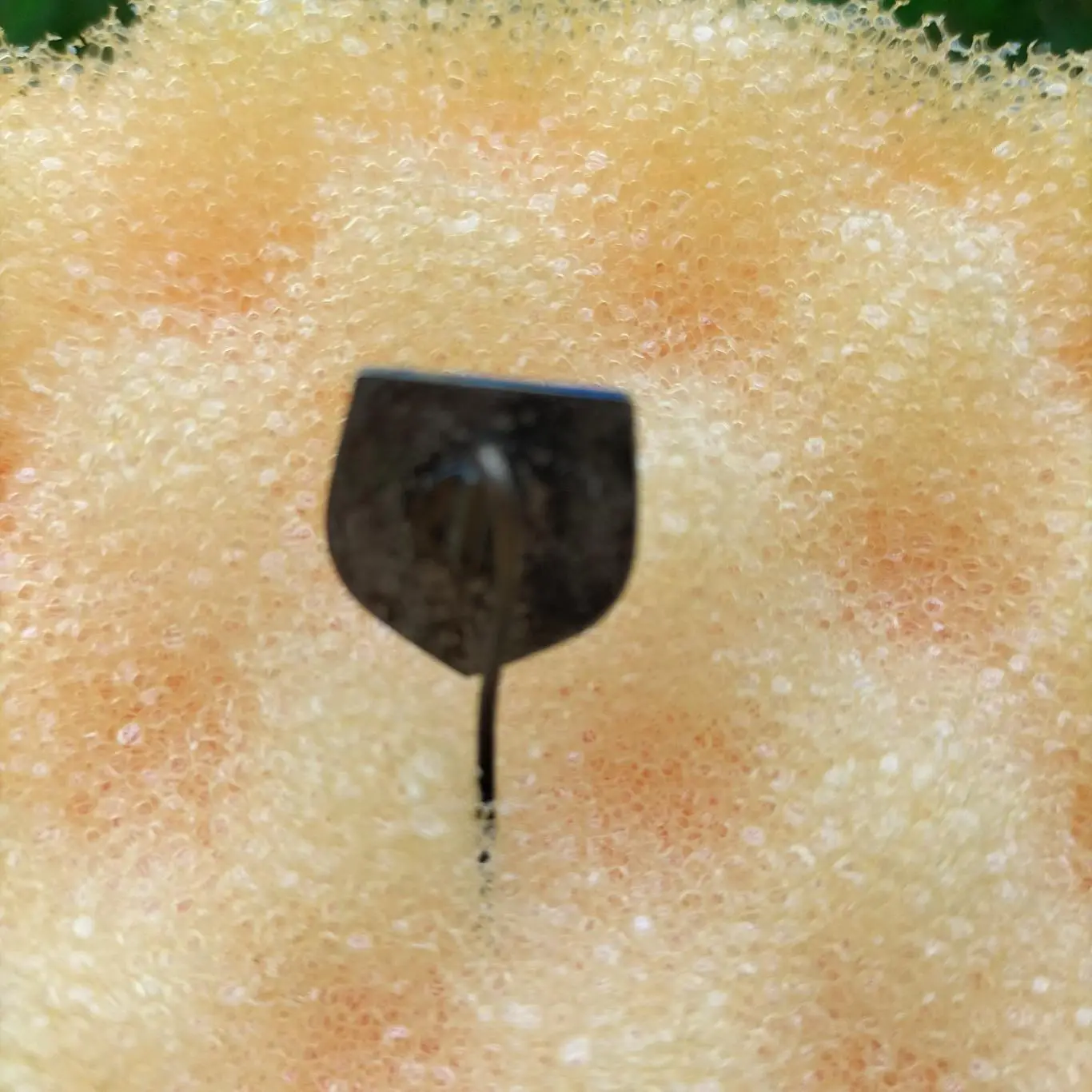 Kozpn значок 2