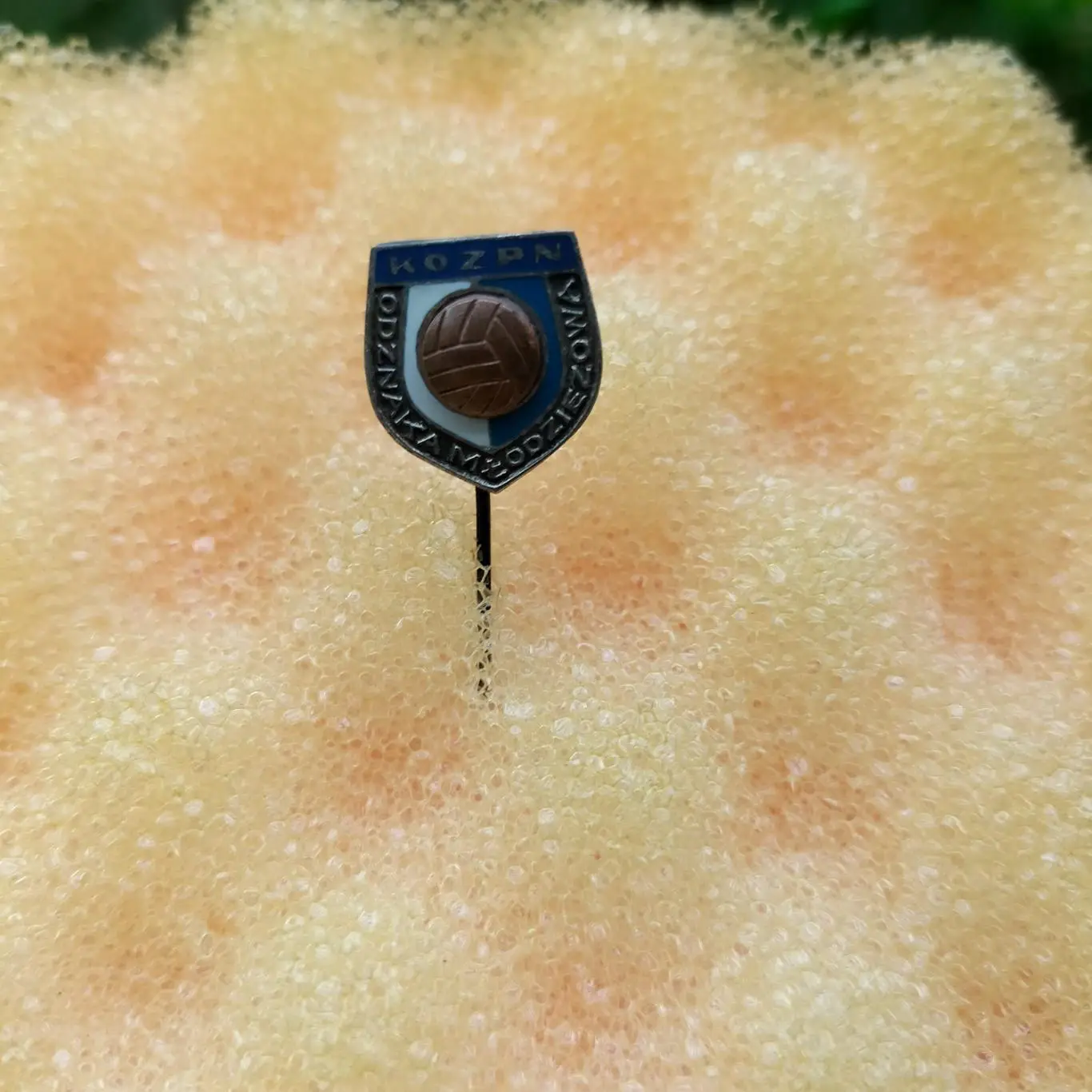 Kozpn значок 1