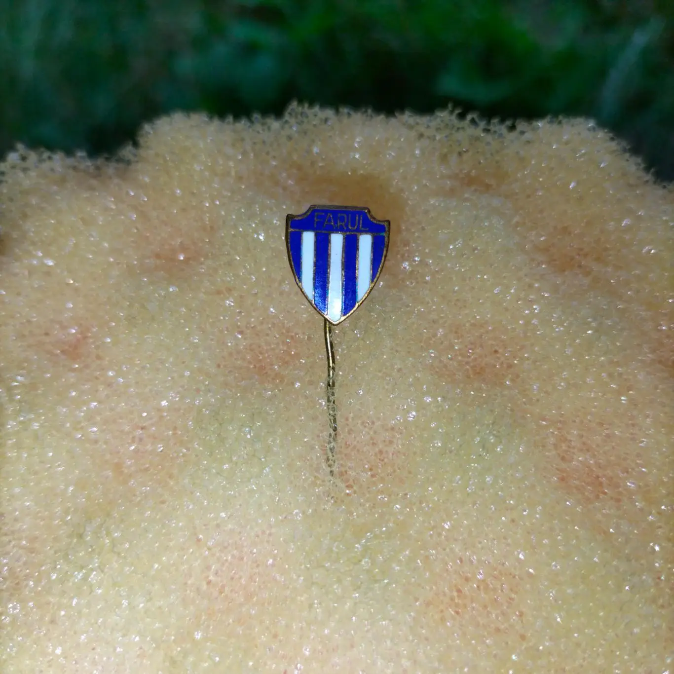 FARUL значок