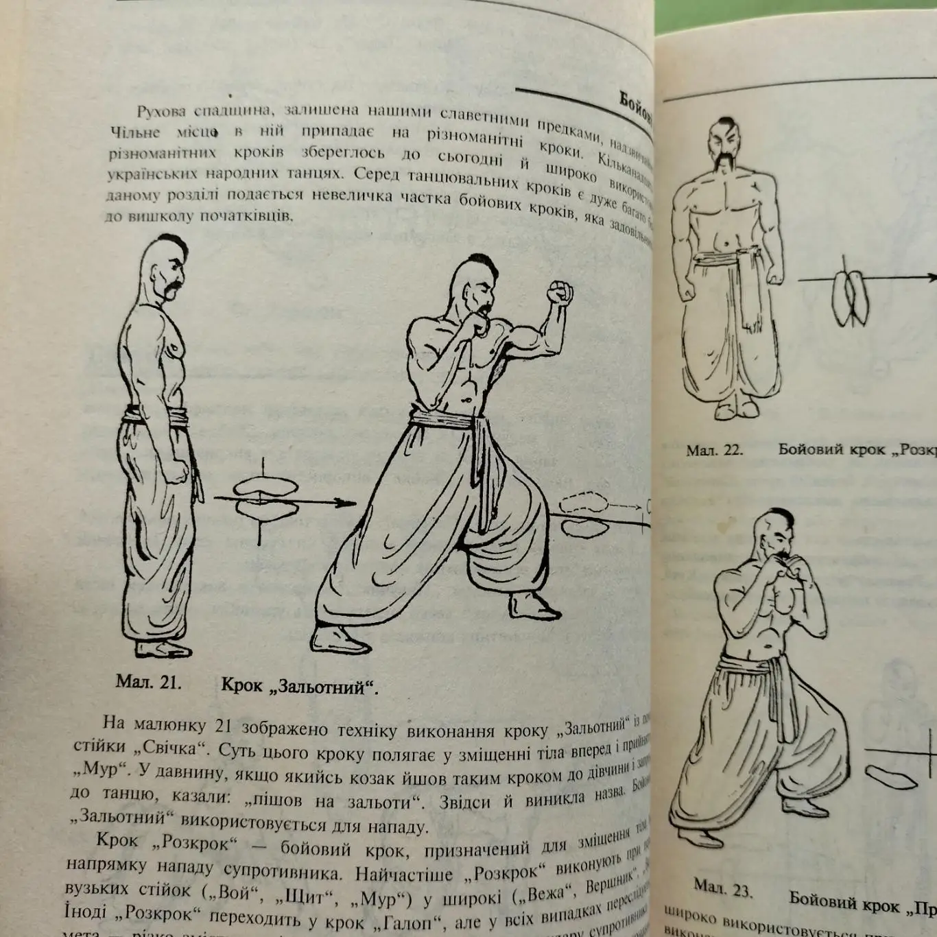 Боевой гопак книга 6