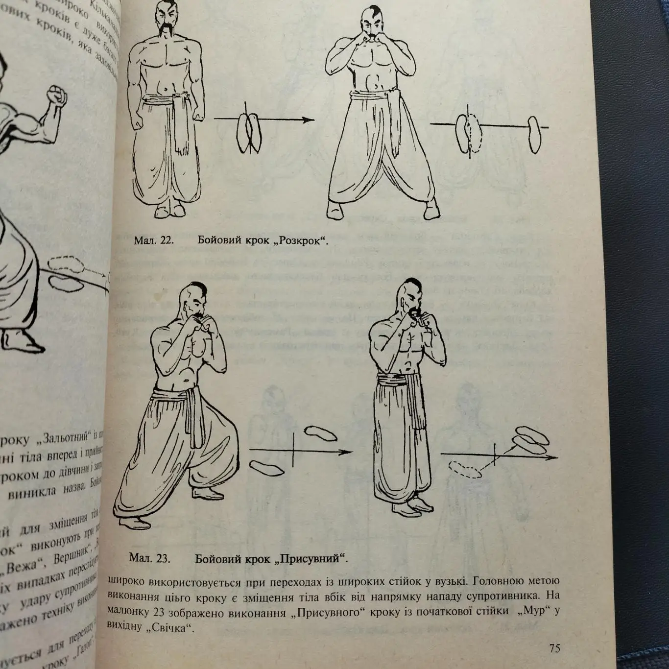 Боевой гопак книга 7