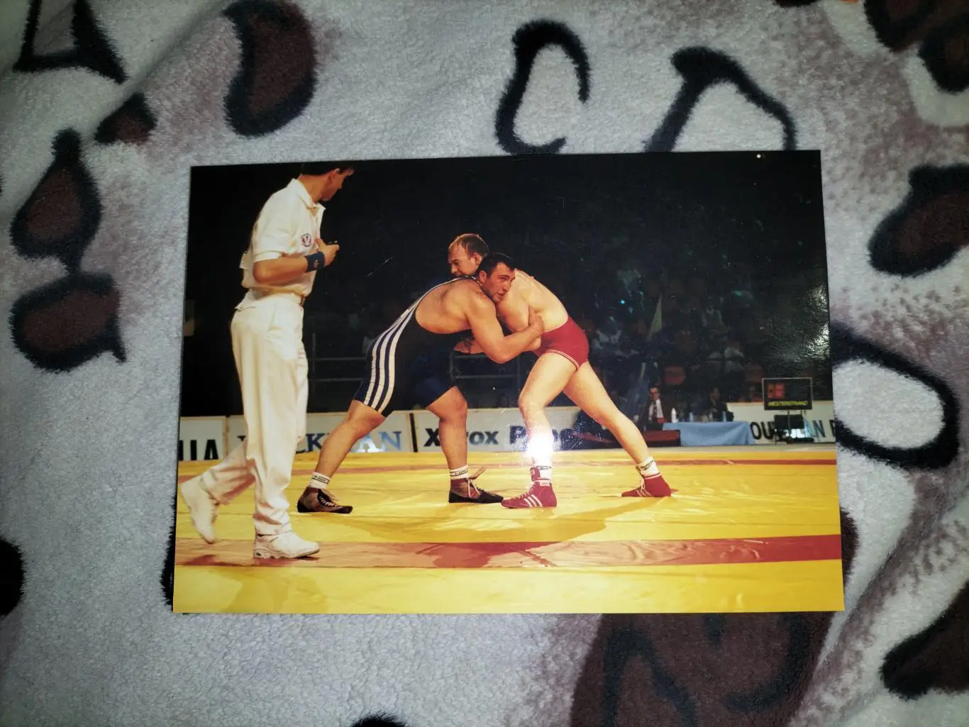 Схватка на ковре