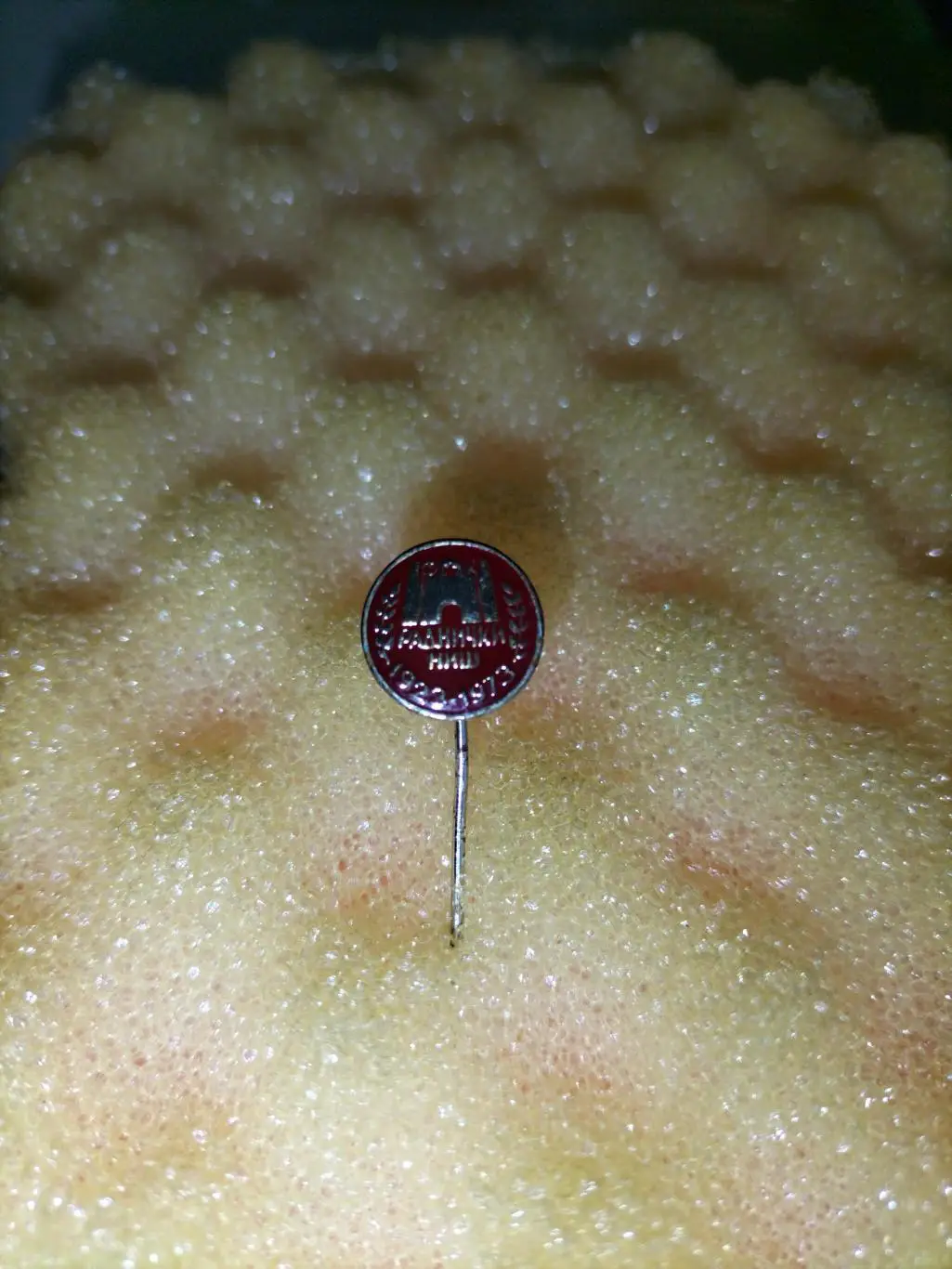 Футбольний клуб Раднички Ниш 3