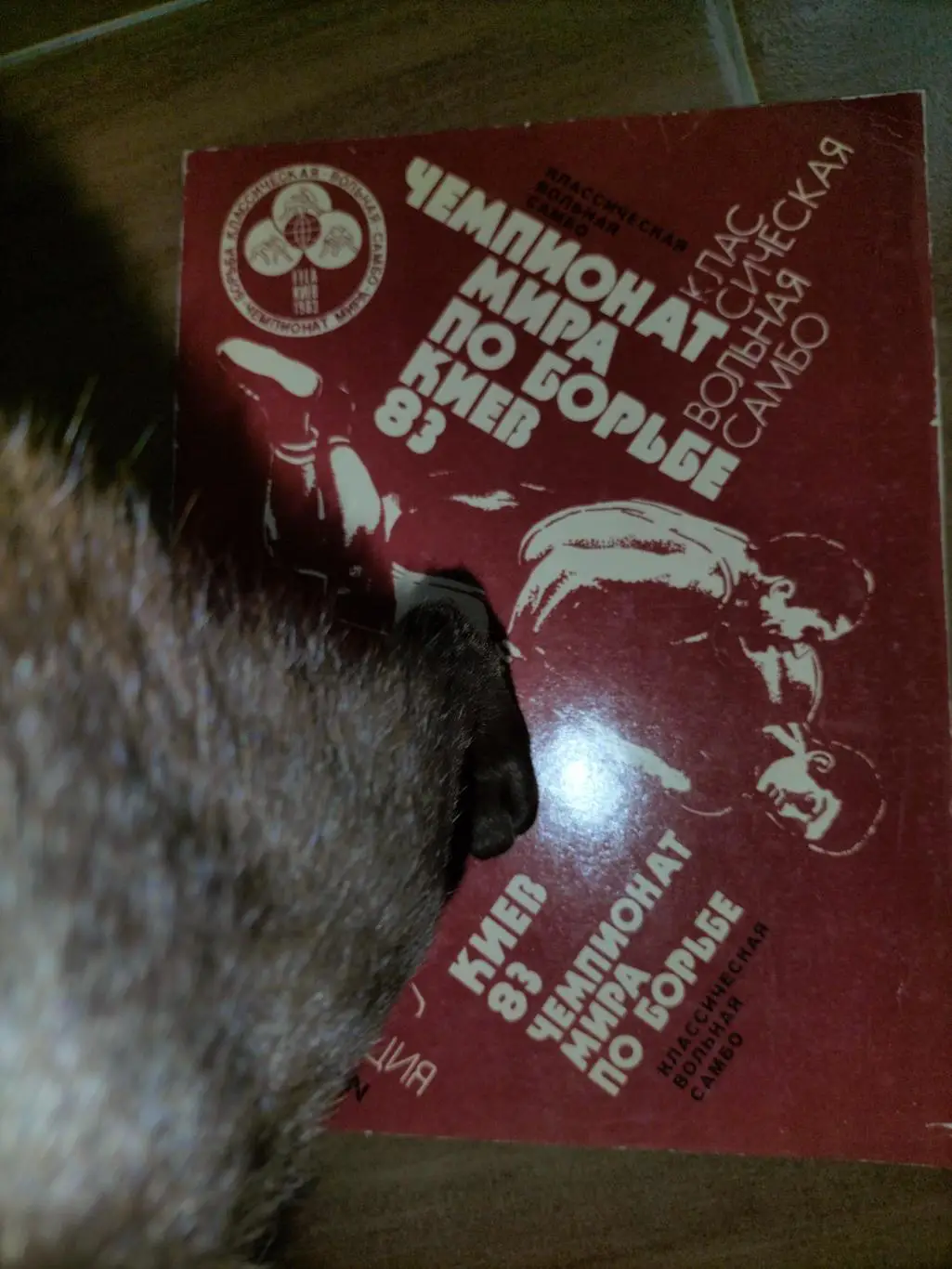 Чемпионат Мира по Борьбе Киев - 83 4