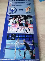 Динамо-Синара -Звезда сезон 2024-2025