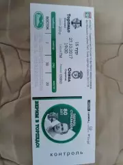 Торпедо-Сокол Саратов2017
