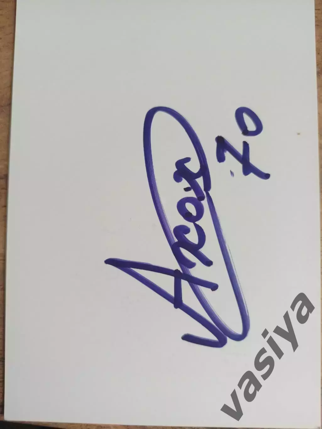 Хохлочев Александр Чайка Ротор 1