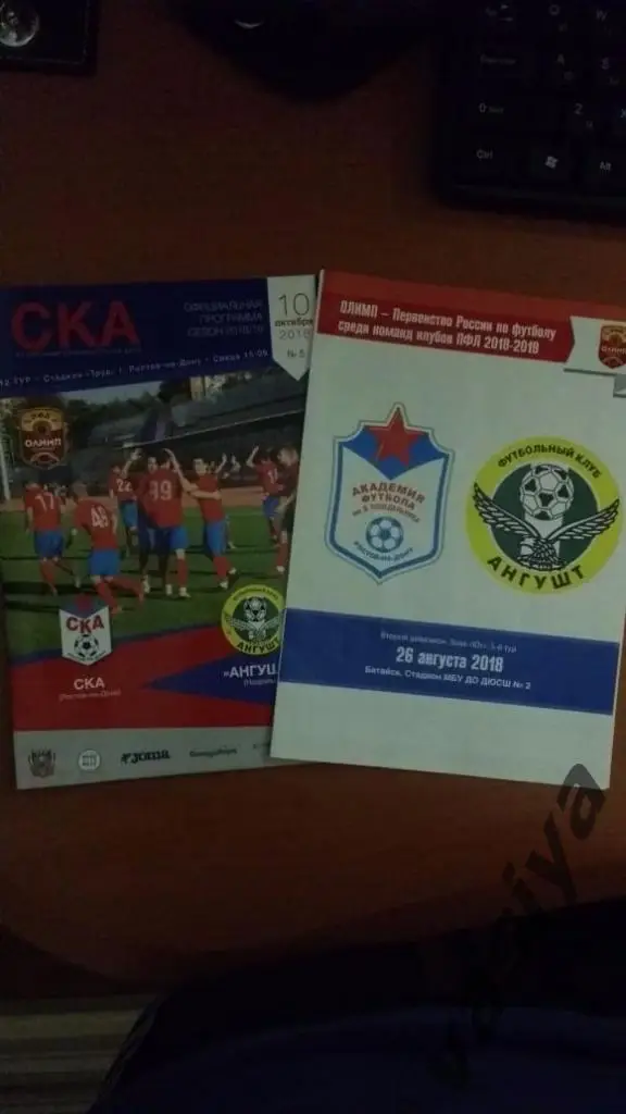Ска(Ростов)-Ангушт сезон 2018-19