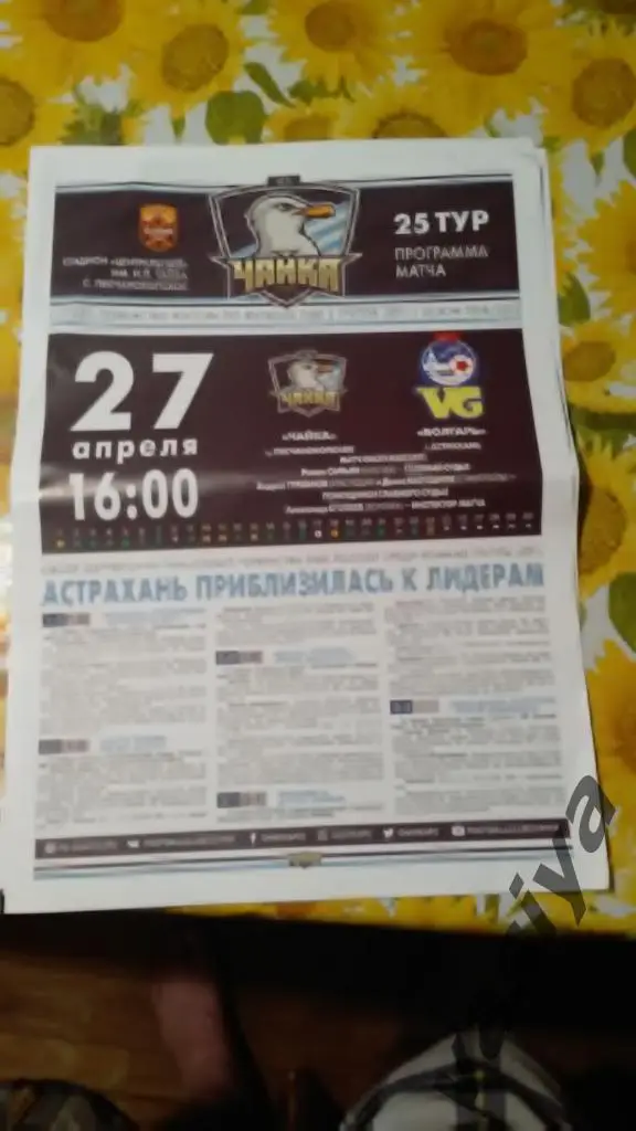 Чайка-Валгарь сезон 2018_19