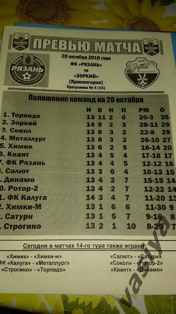 Рязань-Зоркий 2018-19