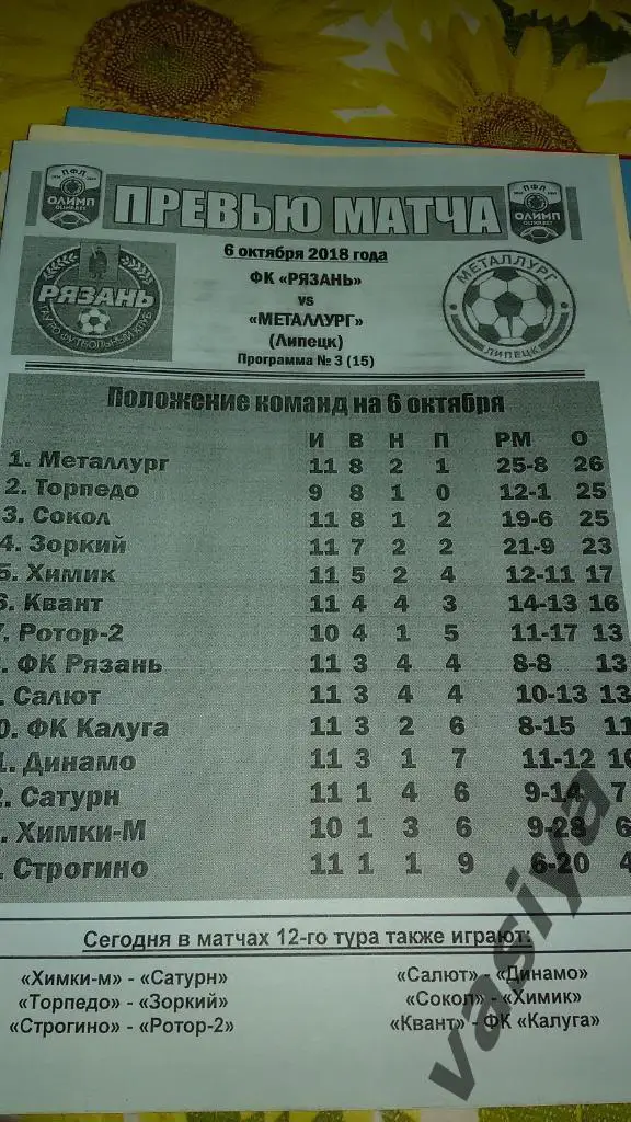 Рязань-Металлург 2018-19