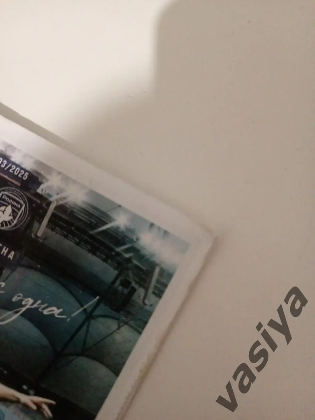 Ротор- Родина 2025 1