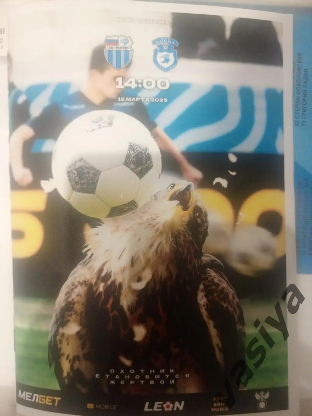 Ротор -Сокол 2025