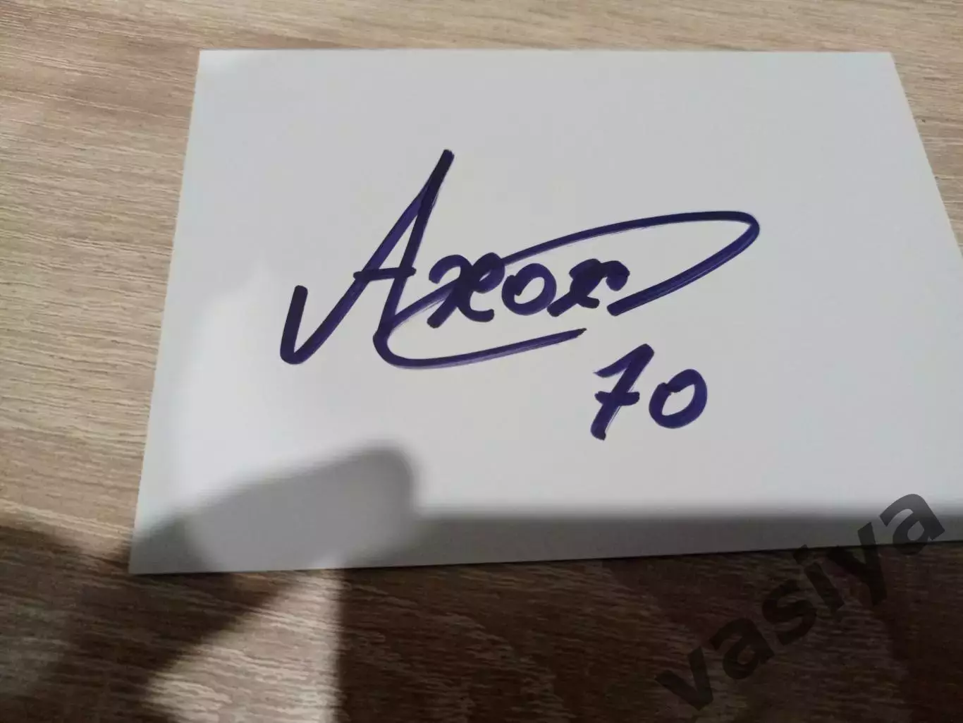 Хохлочев Александр Чайка Ротор 1