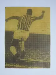 Вырезка. Футбол. Фото