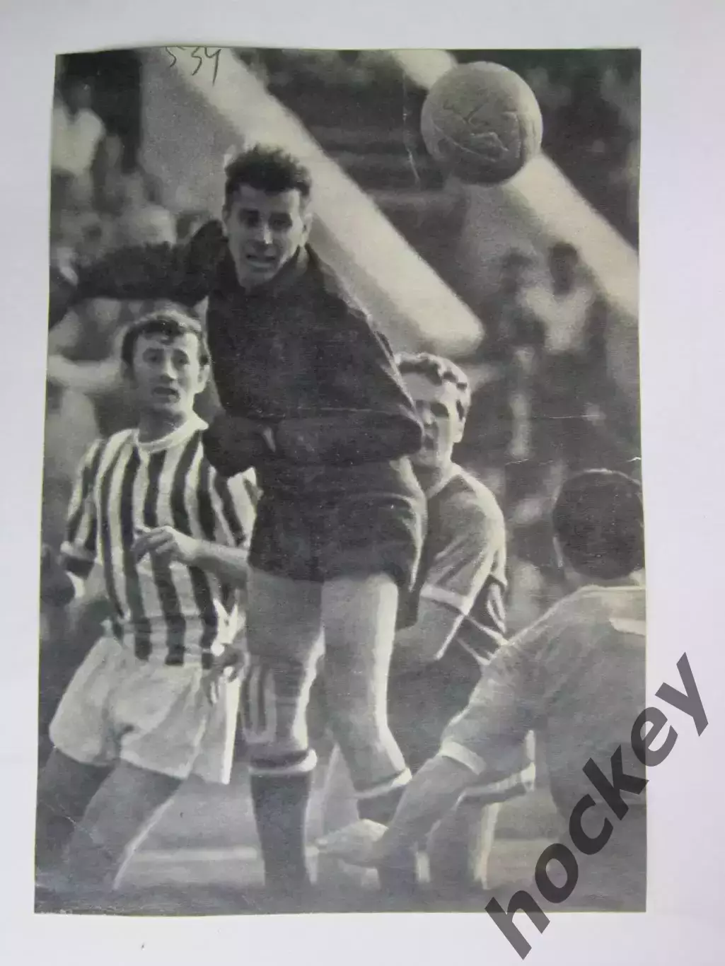 Вырезка. Футбол. Фото 531.